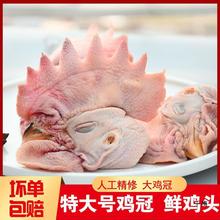 新鲜大鸡头4斤农家散养生鲜大鸡冠鸡头生冷冻烧烤麻辣卤肉商用