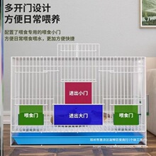 �B�J���u�\����B���û\�����҃ȴ�̖�r�u�r��С��С�u����\����