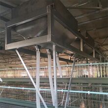 鸡场自动上料机 龙门式自动喂料器加厚板养鸡自动喂料机鸡笼