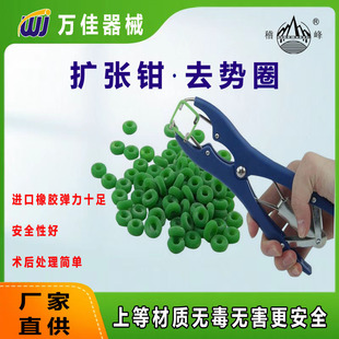 ������i��β���P�ȥ��Ȧ��Ʒ���|ȥ��Ȧ���i��β�F�����󃞻�