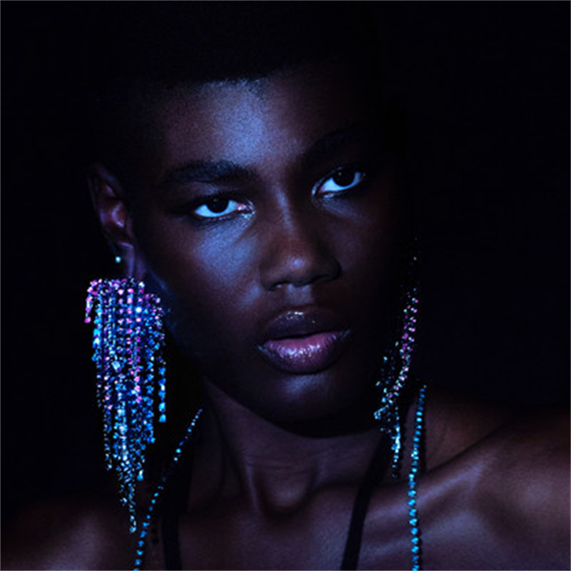 fashionable elegant earrings