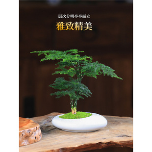 ����С�����������k�����辰�҃����ͻ���ֲ��΢���ļ�����Gֲ