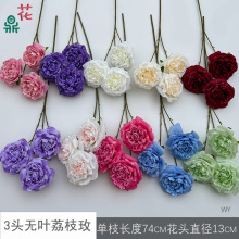 3�^��7�^��֦õ ���R�� ��Y�Ƶ겼���b��� ����dӭ�e�^����