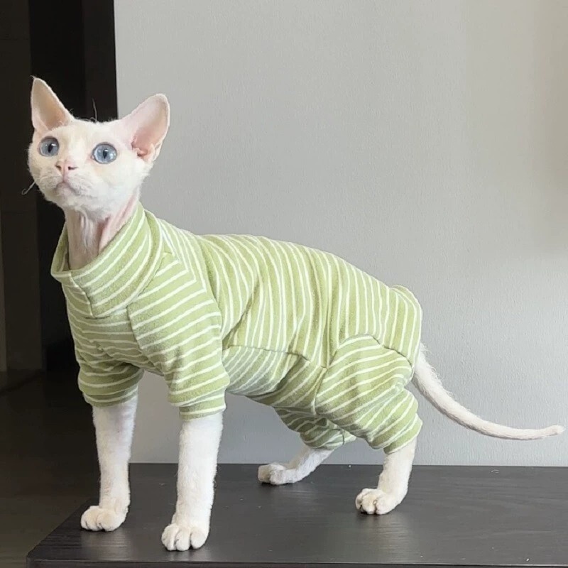 新しいオールインクルーシブ四本足猫服スフィンクスデボン猫服無毛猫四本足お腹保護快適な猫服|undefined