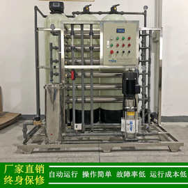 供应东莞虎门水处理设备纯水设备涂装用工业纯水机RO全自动反冲洗