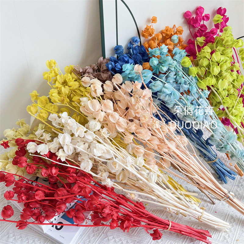 Eternal Flower Bell Flower Dried Flower Lantern Fruit Eternal Lantern Flower Home Decoration Flower Ornament Wedding Flower Homestay Decoration