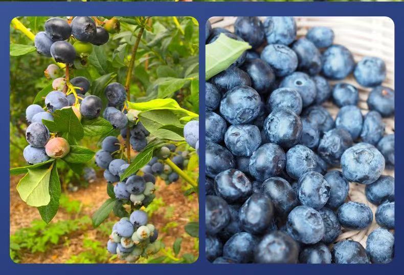 5c50cc55-b374-4ab6-8c64-d4b552e2e7fe.jpe