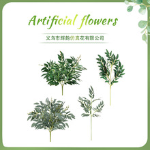 ���������Ҷ���� �羳��Դ����ҾӲ��õ�����ɫ��ѡ ������Ҷ
