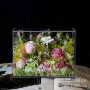 小号情人节成品生日真花