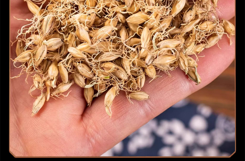Dried Malt Barley Sprout Mai Ya 500g Traditional Chinese Herb for Decoction and Herbal Tea details