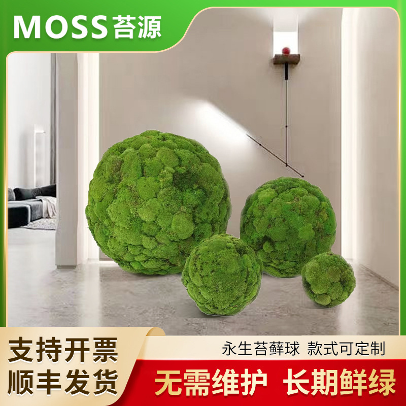 Rêu bất tử rêu xanh bóng mô phỏng nhân tạo tường cửa hàng cửa hàng cửa sổ trang trí phong cảnh hoa cỏ rêu