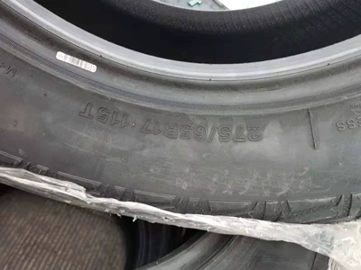 Cruiser Prado 2756517, Off-road şinlər