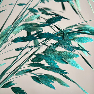 [Eternal Flowers and Small Hope Grass] Artistic Style Lingfeng Grass Hay Flowers Hay Window Display Wedding with Grass Flowers