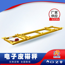 lc200皮带秤 皮带输送机轻型电子 秤 多托辊皮带称 实力工厂直销