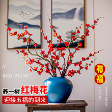 �t÷��֦ˮ��ֲ���滨�r֦�D÷���r���҃ȼ��ò廨�������Gֲֲ��