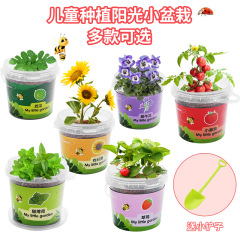 Factory Wholesale DIY Handmade Science Experiment Planting Student Kindergarten Toys Gift Planting Fruits and Vegetables
