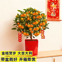 �ļ���ۘ�������Ԏ����l؛����k���҃ȿ͏d�����辰��ؔ��ֲ��