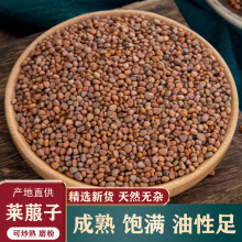 �R������ș�����l���R����5�����R���Ӳ賴���}���Ѵ�؛�R���ӷ�