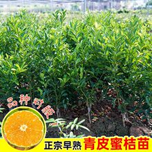 �V����������������Ƥ�۽ۘ�������һ̖�o����Ƥ������������