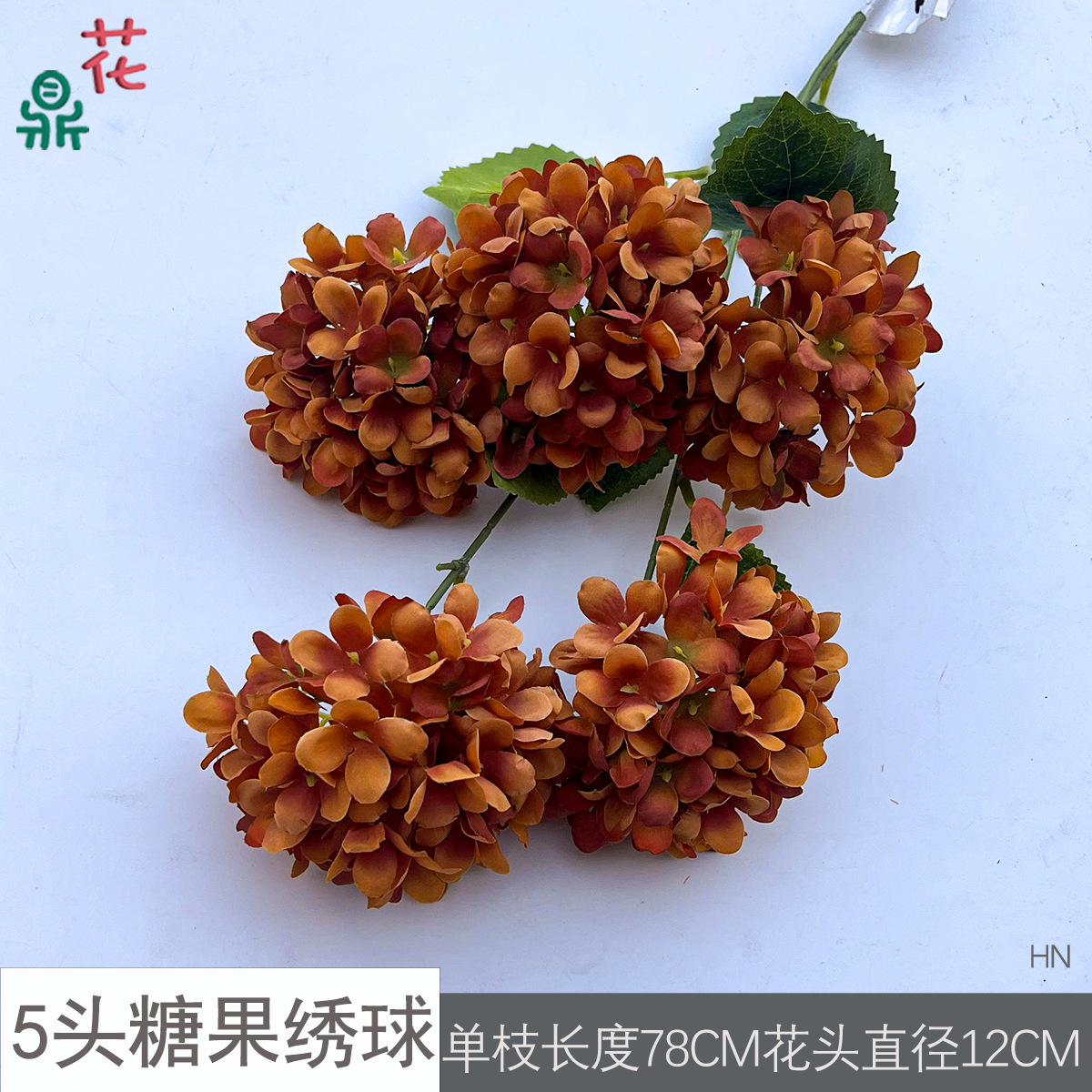 5등신 캔디 수국 HN 카라멜 컬러