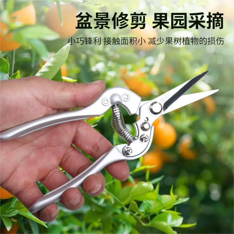 台湾安藤园林修剪手工具 AT-8S38稀果剪 采摘剪 园艺剪枝剪刀
