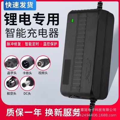 Lithium Battery Electric Vehicle Charger Suitable for Aimaadi Bell Phoenix Chaowei Tianneng 54.6V2A48V67.2