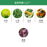 Жидкое цинковое удобрение British Omax Fluid Zinc для стимулирования цветения и увеличения скорости завязывания плодов. Цинковое удобрение для листвы, 5 мл.