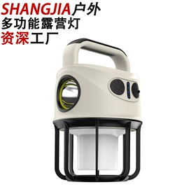 手电筒;提灯;野营/露营灯