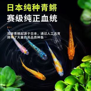 �^�����F�~���~�ɮa���ǹ�С���^�p�~��ˮ��ȸ���R�~�ŷ��ן����~