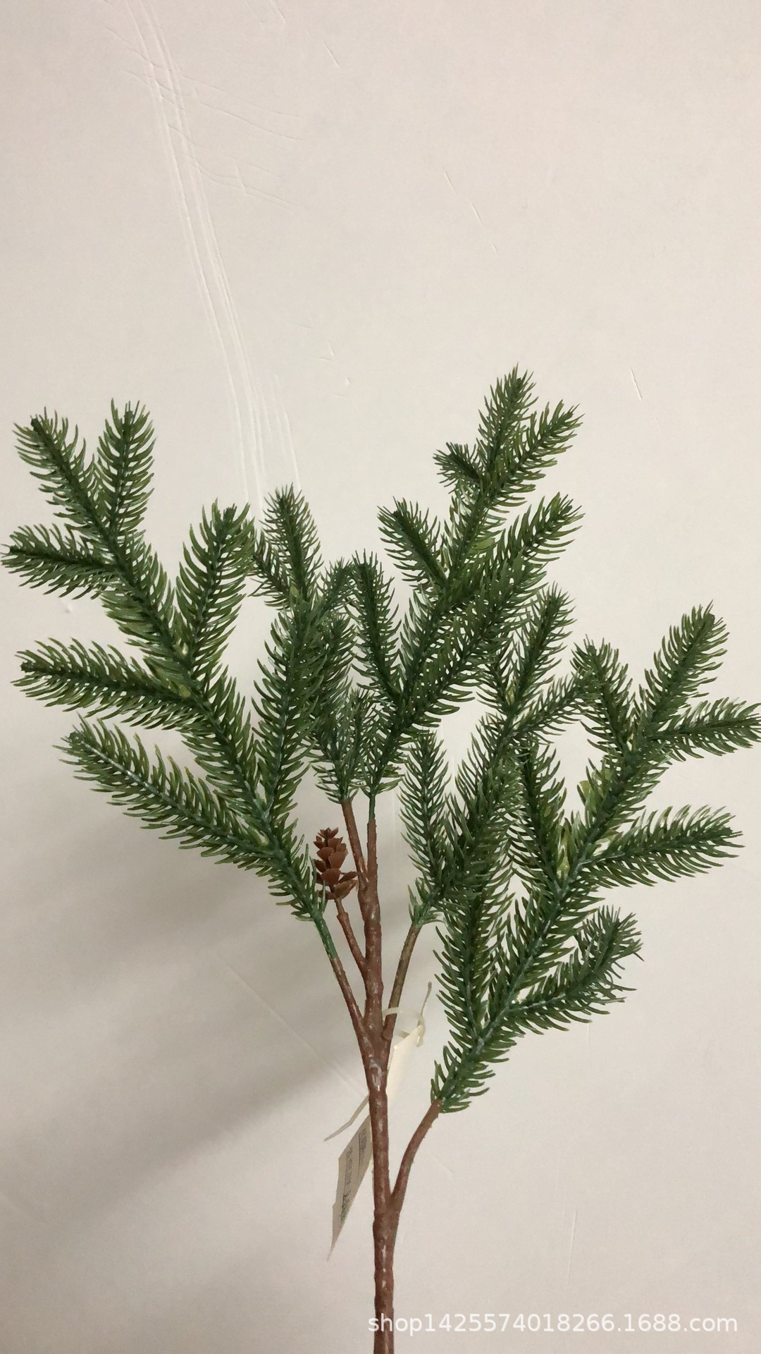 bab42a415a6317715fad9c34f50bff