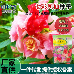 �F؛���l�߲��P�ɷN�ӻ�ɫָ�׻��҃��ļ����N���ܷN���P�ɻ��N��