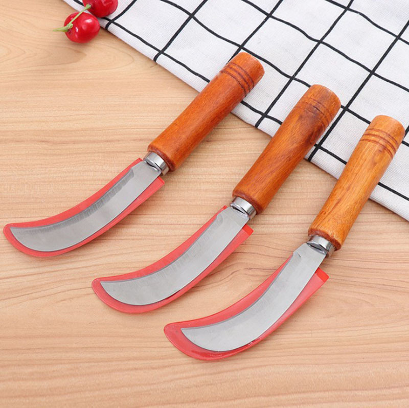 14265919565_210938489