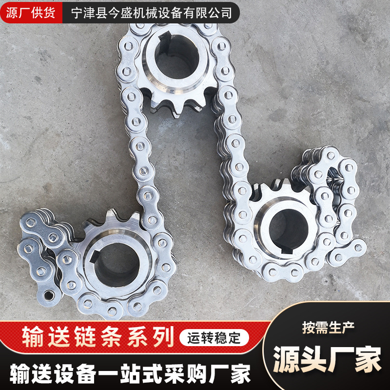 304不锈钢非标链条 大节距单排双排传动链轮链条侧弯板异形滚子链