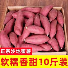 蜜超甜农科院批发番薯糖心产地流油红薯新鲜地瓜直发沙地蜜薯