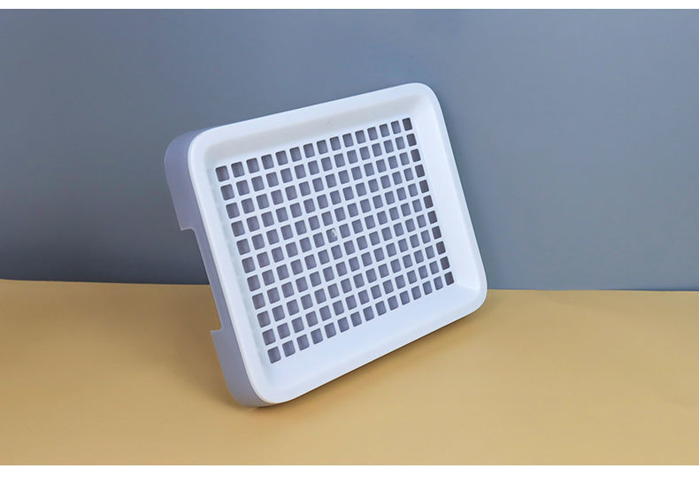 79baff17-09e8-4c3f-acd1-28988f22c140.jpe