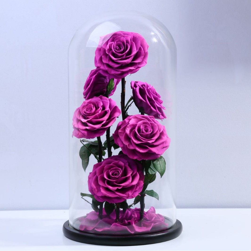 Flor eterna, tres rosas en una cúpula de cristal, producto terminado, decoración de regalo, ramo de flores, caja de regalo, flores preservadas que no se marchitan
