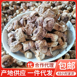 ����خa��ɫ�����׸�؛2�� ������ ���ϰ�������؛���lһ�����l