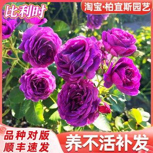 һ�����l�����r�¼������ľ�����Nޱ�༾�_��ͥԺ�̨�����ͻ���