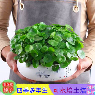 ~XݷNˮkԻܾGֲXݾG}mֲ~XݷN