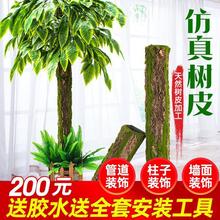 �����Ƥ�Gֲ�ﻨ�ٗl�~�Ӱ���ˮ�ܵ��b������҃��̨�����ړ�