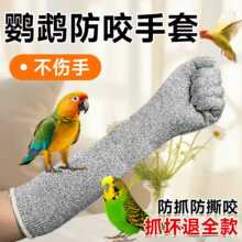 �W�^��ҧ�����B�BӖ�B�÷�ץ�o�ֽ����P�B��ιʳ��ҧ��؈ץ