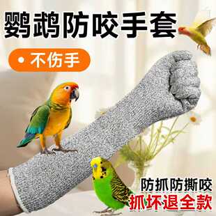 �W�^��ҧ�����B�BӖ�B�÷�ץ�o�ֽ����P�B��ιʳ��ҧ��؈ץ