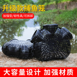 �S�X�\���������X�~�\�Ӻ�ɫ���X�������q�\�A���U���~�r�\���D��