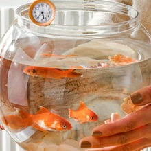 金鱼缸小型家用大口径圆形鱼缸大号桌面鱼缸斗鱼鱼缸防碎家用普通