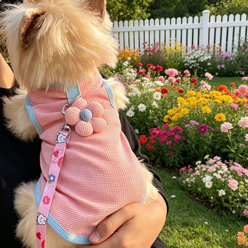 Pet Clothing for Teddy, Bichon, Yorkshire Terrier, Kittens, and Dogs; Vest with Leash Attachment, Thin, Comfortable, Breathable, Spring and Autumn Style Pet Clothing for Teddy, Bichon, Yorkshire Terrier, Kittens, and Dogs; Vest with Leash Attachment, Thin, Comfortable, Breathable, Spring and Autumn Style