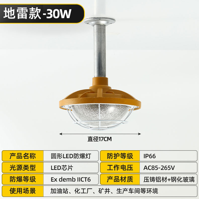 LED防爆投光器化学工業現場屋外照明灯ガソリンスタンドトンネル投光灯工鉱区地|undefined