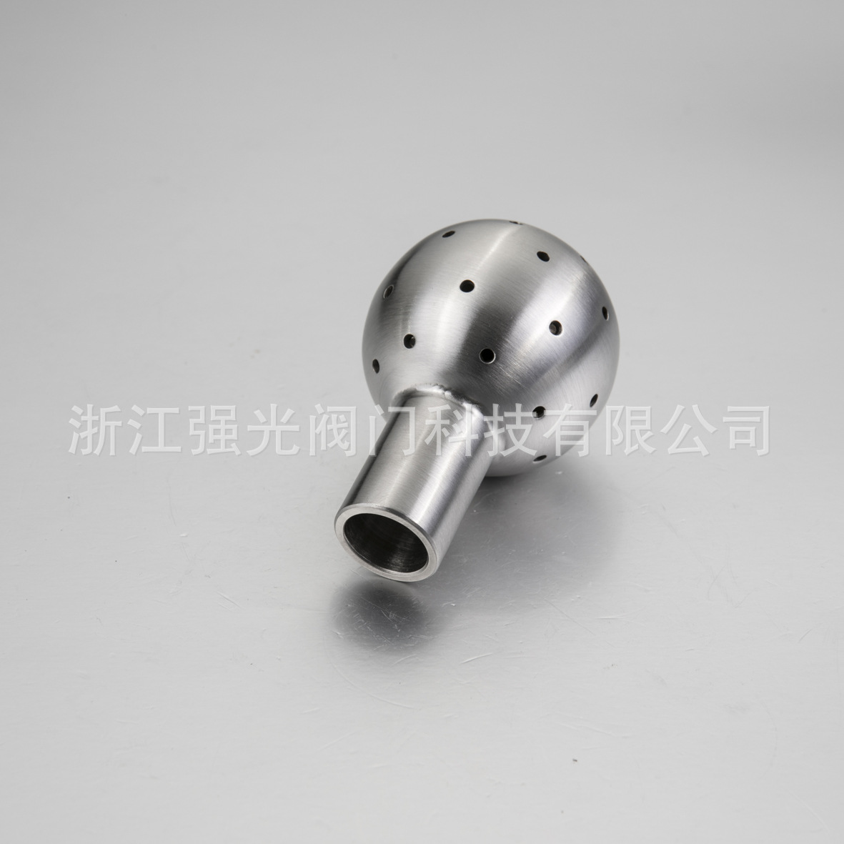 卫生级，不锈钢，食品级，固定式喷淋球，插销，快装，304/316L