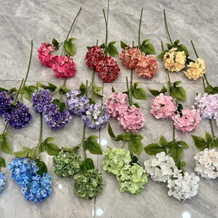 2�^������滨�ٻ���c�Y�ò����b��·�����Ż�ˇ���ľƵ�Ӽ���