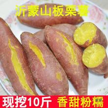 【红薯批发】板栗红薯新鲜地瓜蜜薯沙地黄心香小番薯蔬菜2/5/10斤