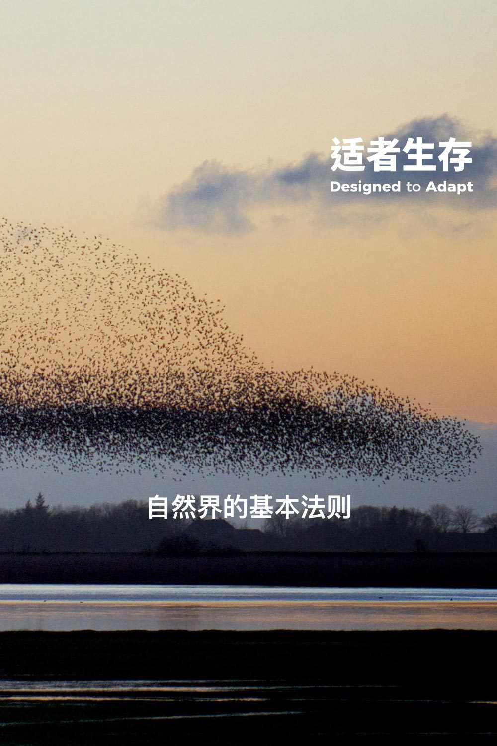 8330B插图
